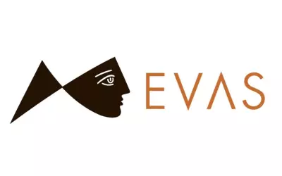Товары бренда Evas